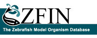 logo-ZFIN