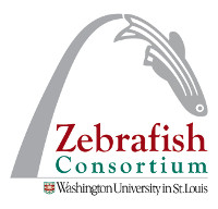 logo-zebrafish_consortium